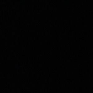 Meet your Posher, Chase